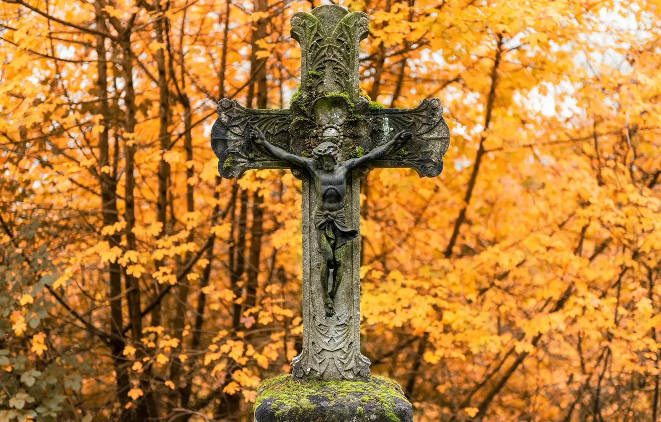 Photo wallpaper background, cross, cemetery