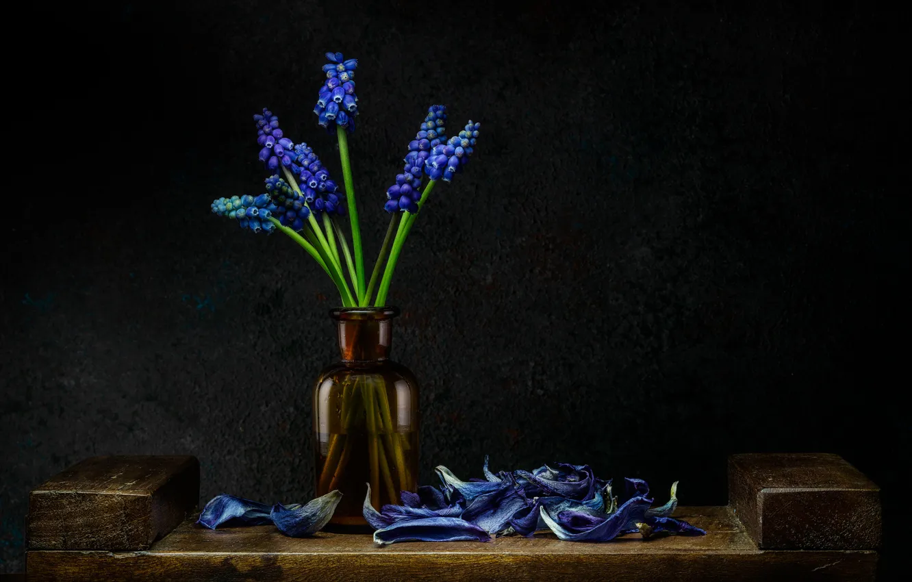 Photo wallpaper flowers, petals, still life, Muscari