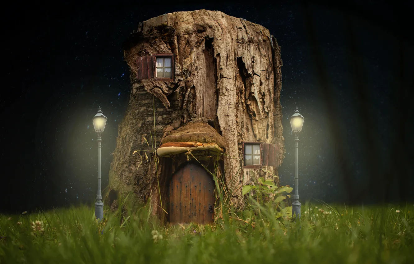 Photo wallpaper grass, night, stump, lights, house