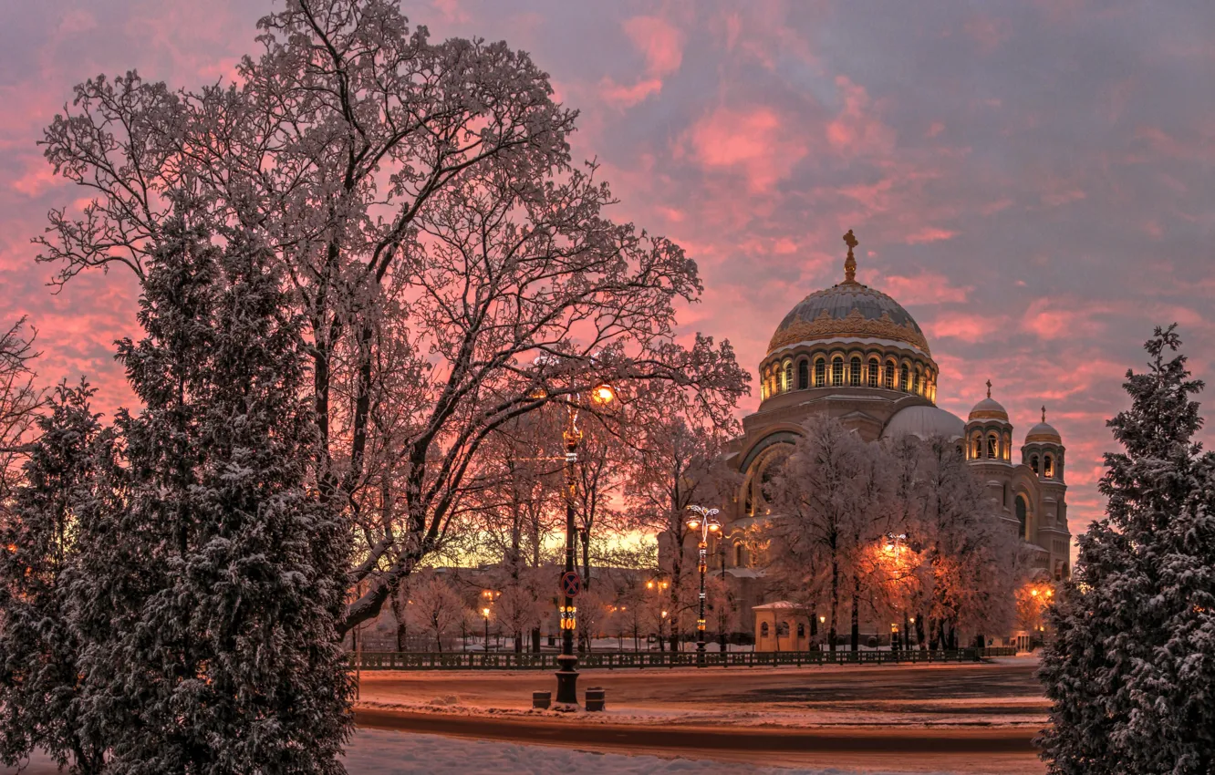 Photo wallpaper winter, snow, trees, landscape, the city, the evening, Peter, Saint Petersburg