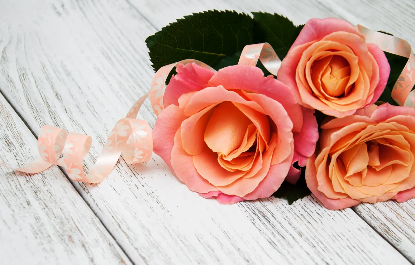 Photo wallpaper table, roses, bouquet, tape, Olena Rudo