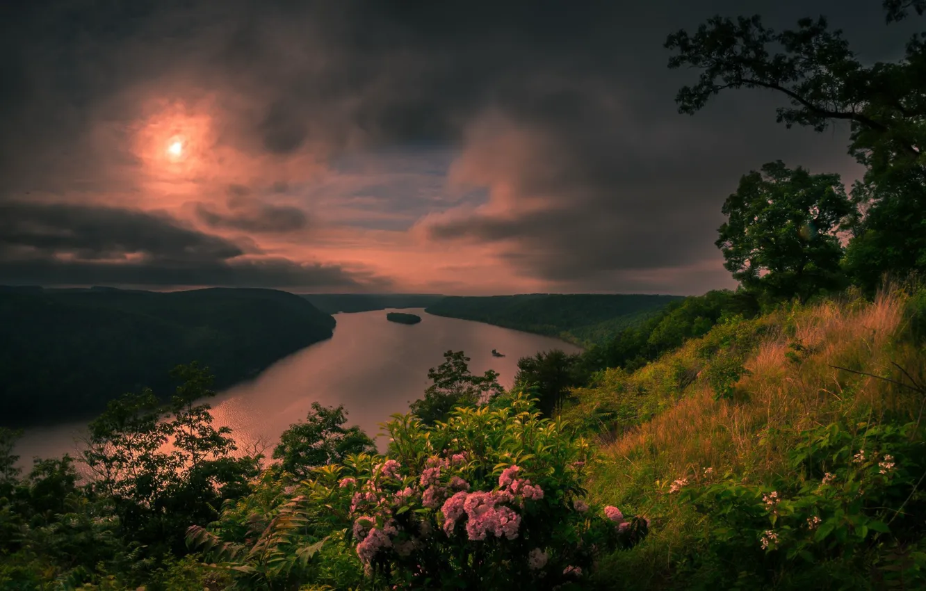 Photo wallpaper the sky, nature, the evening