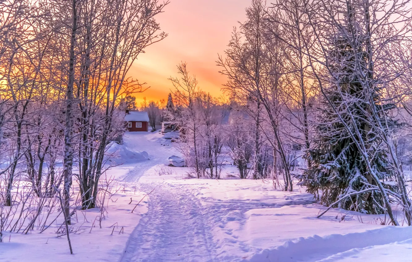 Photo wallpaper winter, forest, snow, sunset, house
