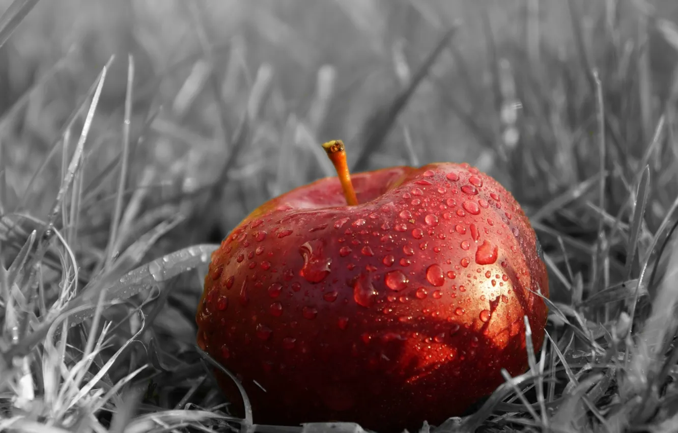 Photo wallpaper apple, red, fruit