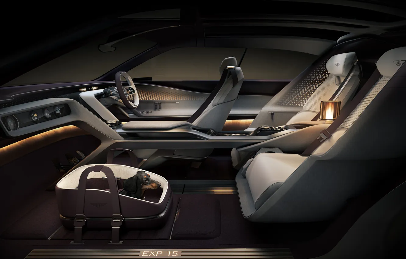 Photo wallpaper Concept, Bentley, the concept car, luxury, Suite, luxury, electric, electric car