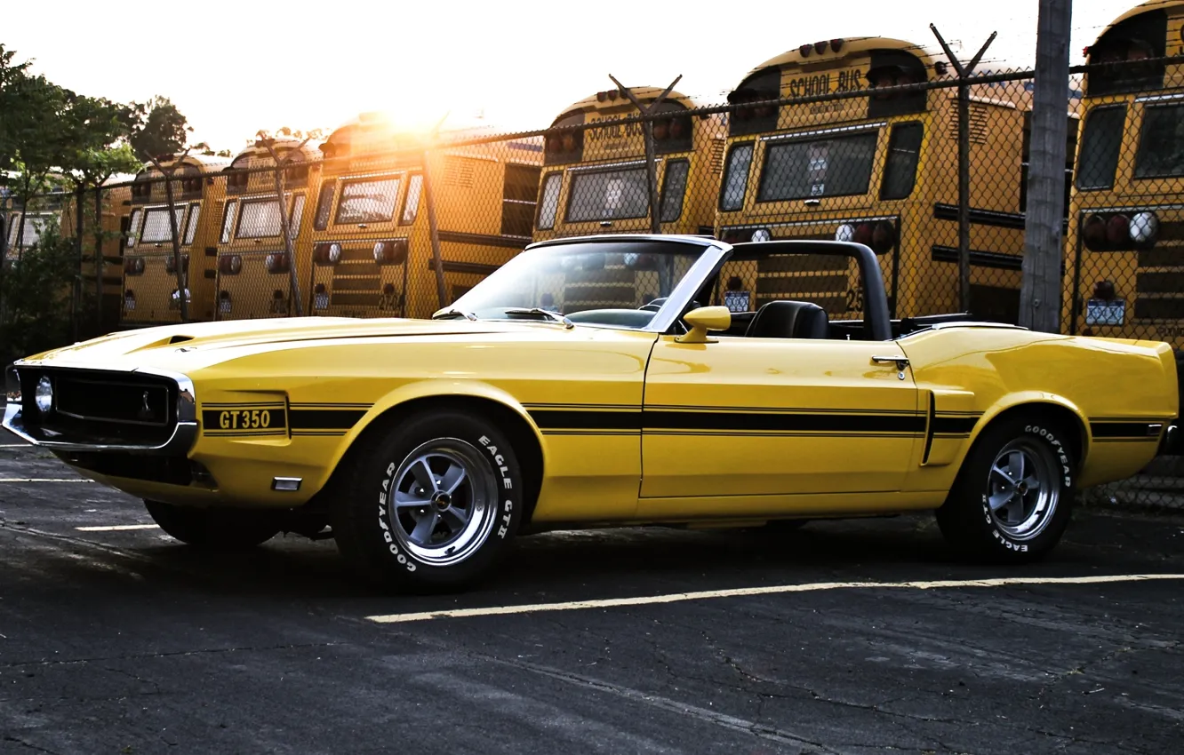 Photo wallpaper the sky, the sun, yellow, the fence, Shelby, mustang, Mustang, 1969