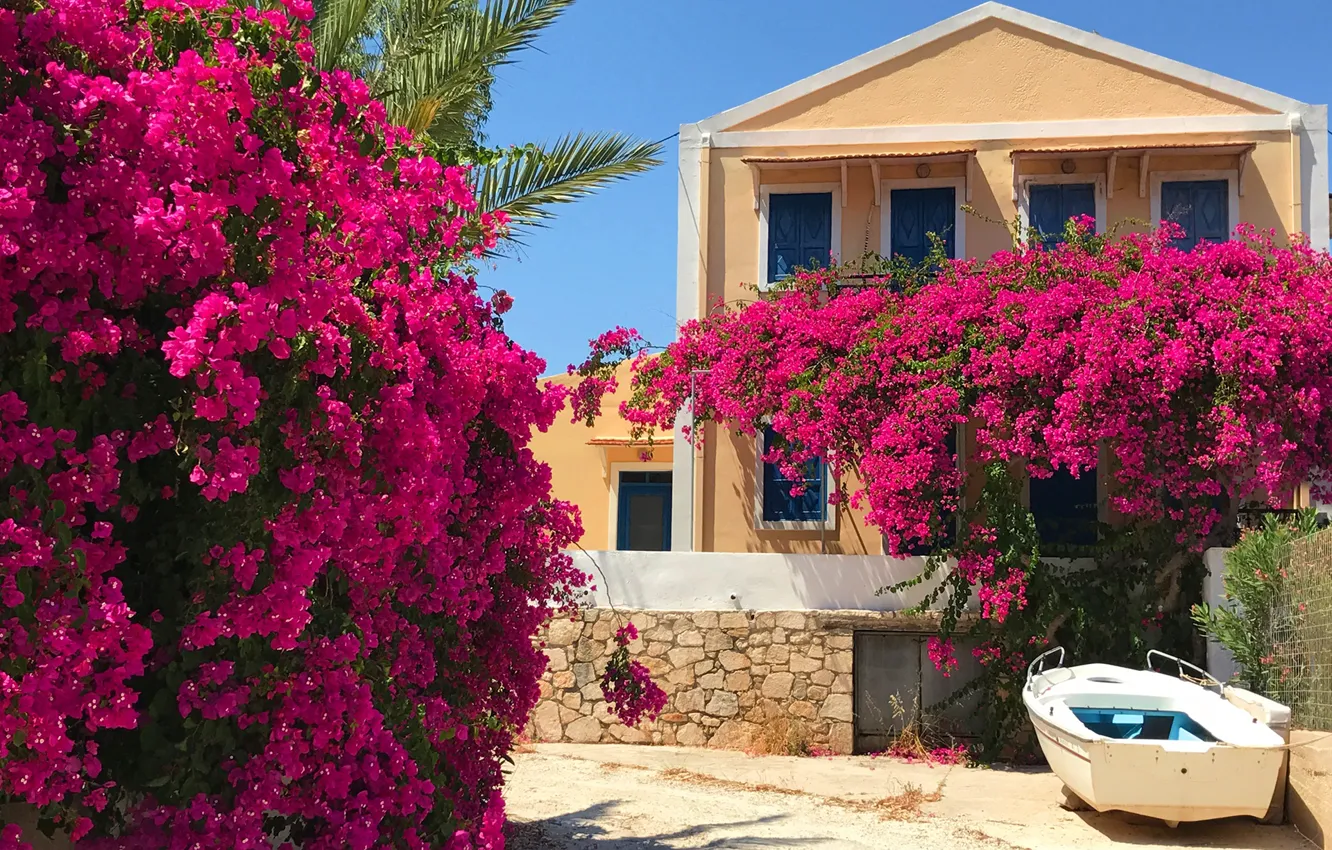 Photo wallpaper the sun, flowers, boat, home, Greece, garden, the bushes, bougainvillea