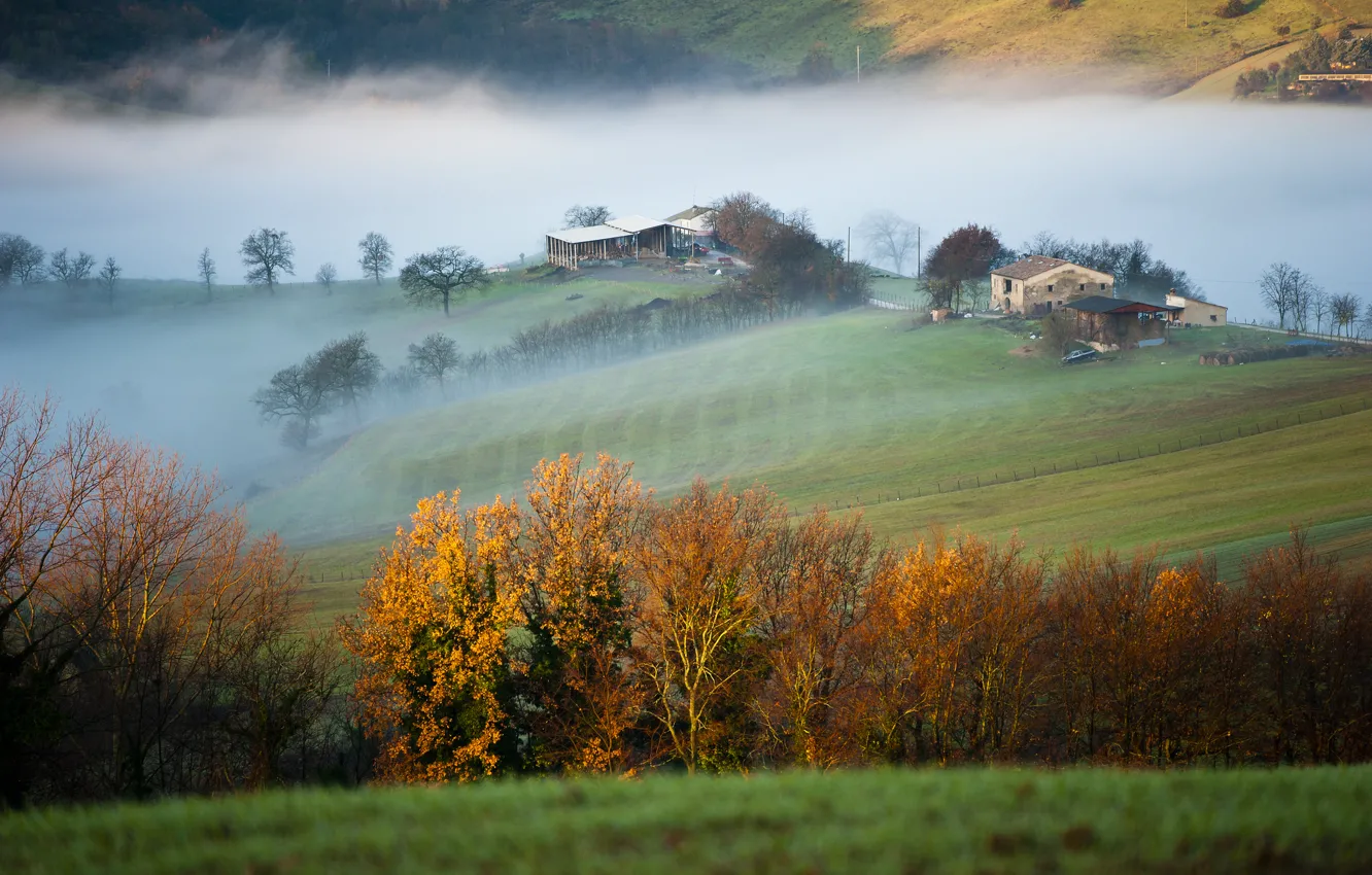 Photo wallpaper field, trees, mountains, fog, house, morning, Italy, province of Macerata