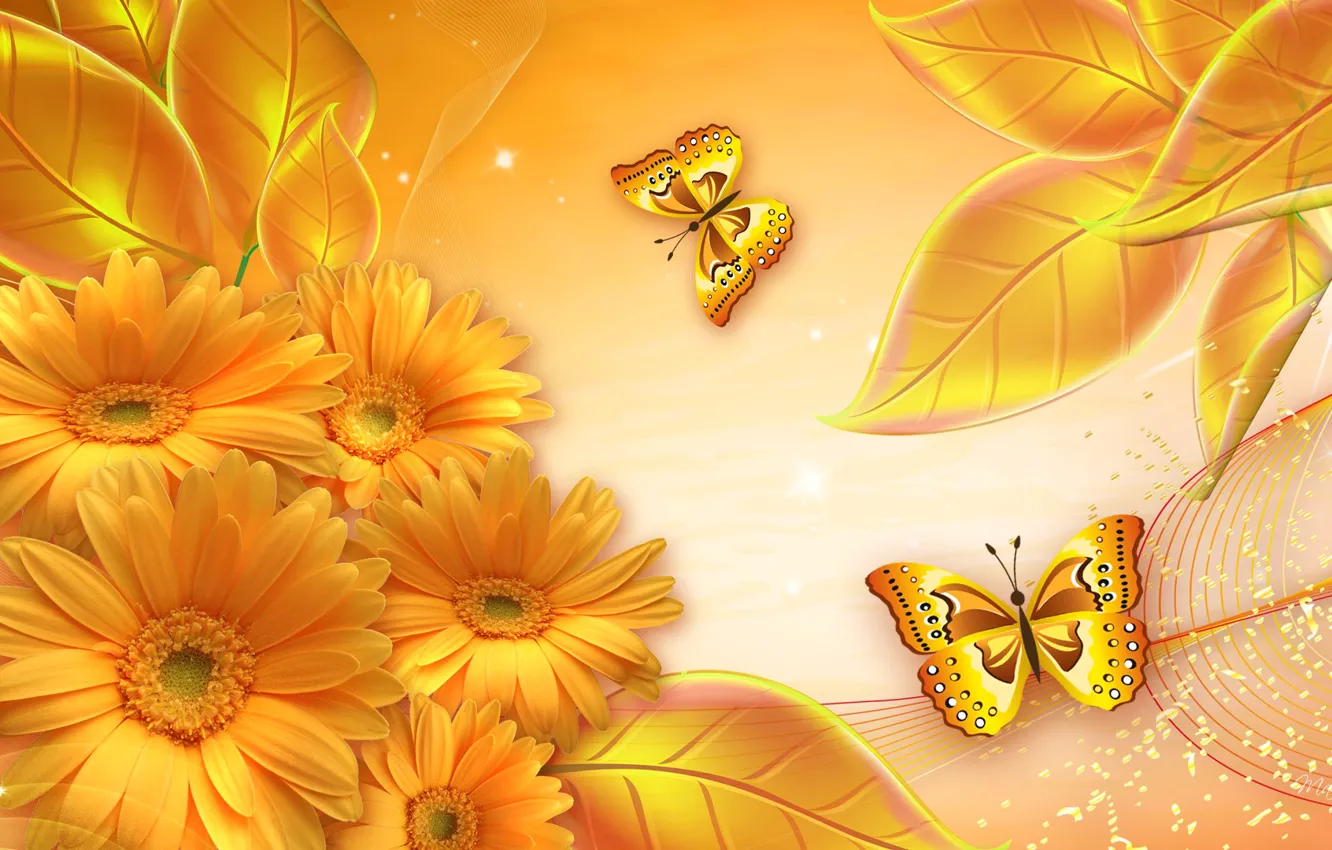Photo wallpaper flowers, collage, butterfly