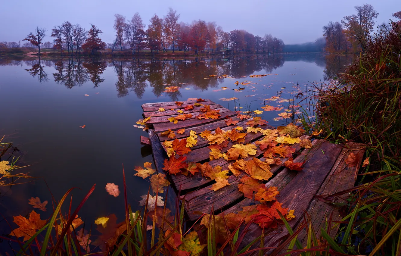 Photo wallpaper autumn, grass, leaves, landscape, nature, lake, mostok, The suburbs