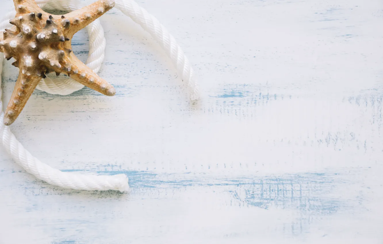 Photo wallpaper rope, starfish, sea