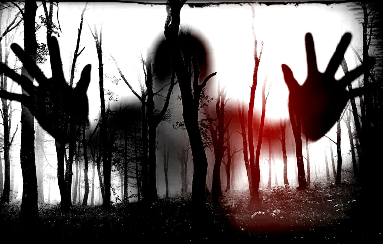 Photo wallpaper fog, fear, something, Ghost, horror, dark forest, nightmare, underworld