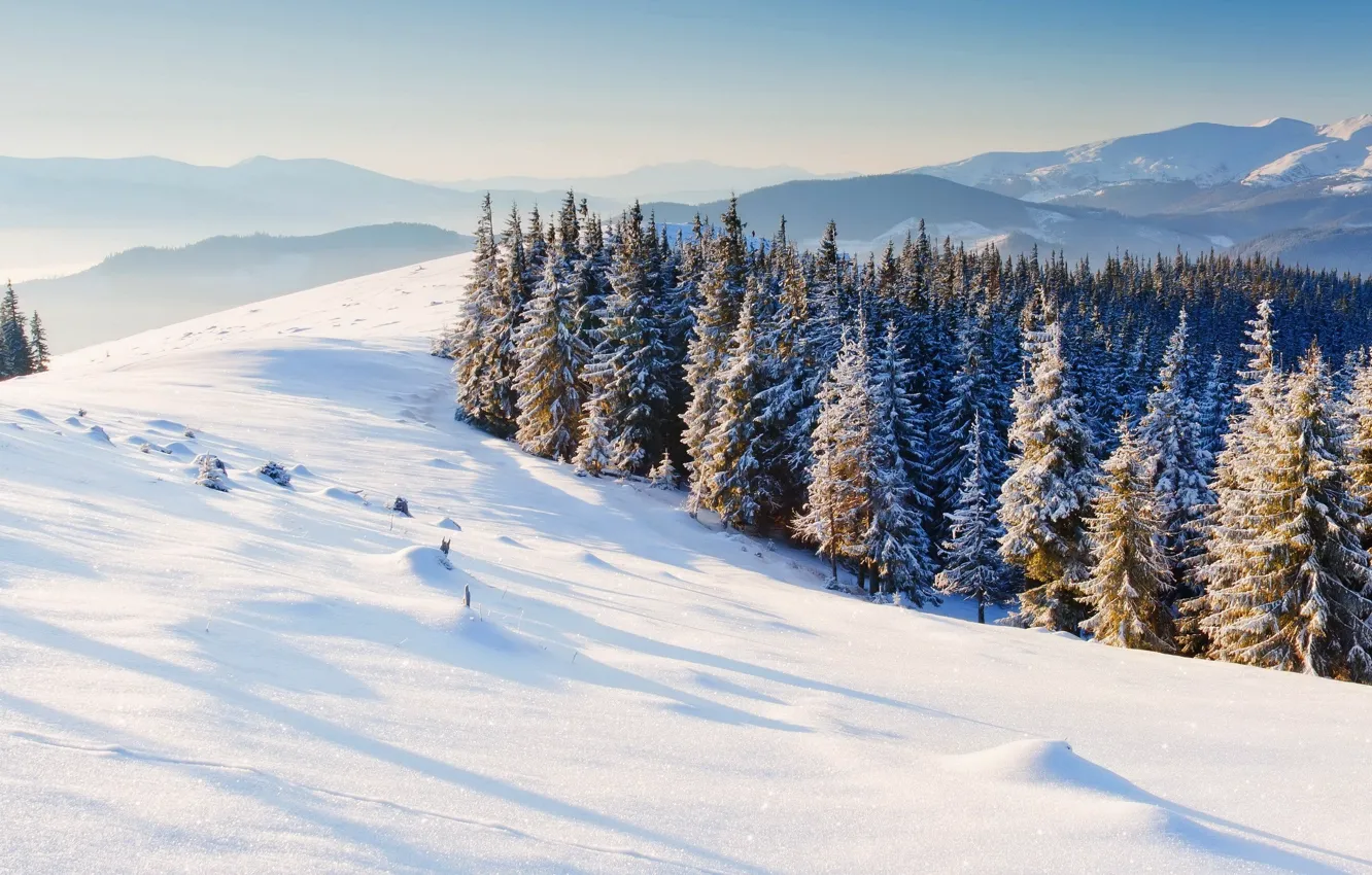 Photo wallpaper winter, snow, trees, mountains, nature, background, Wallpaper, tree
