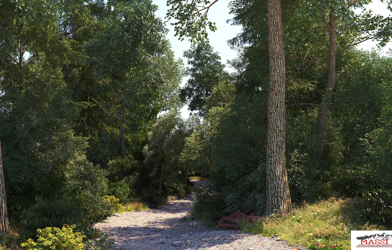 Photo wallpaper road, forest, nature, vegetation, The Path
