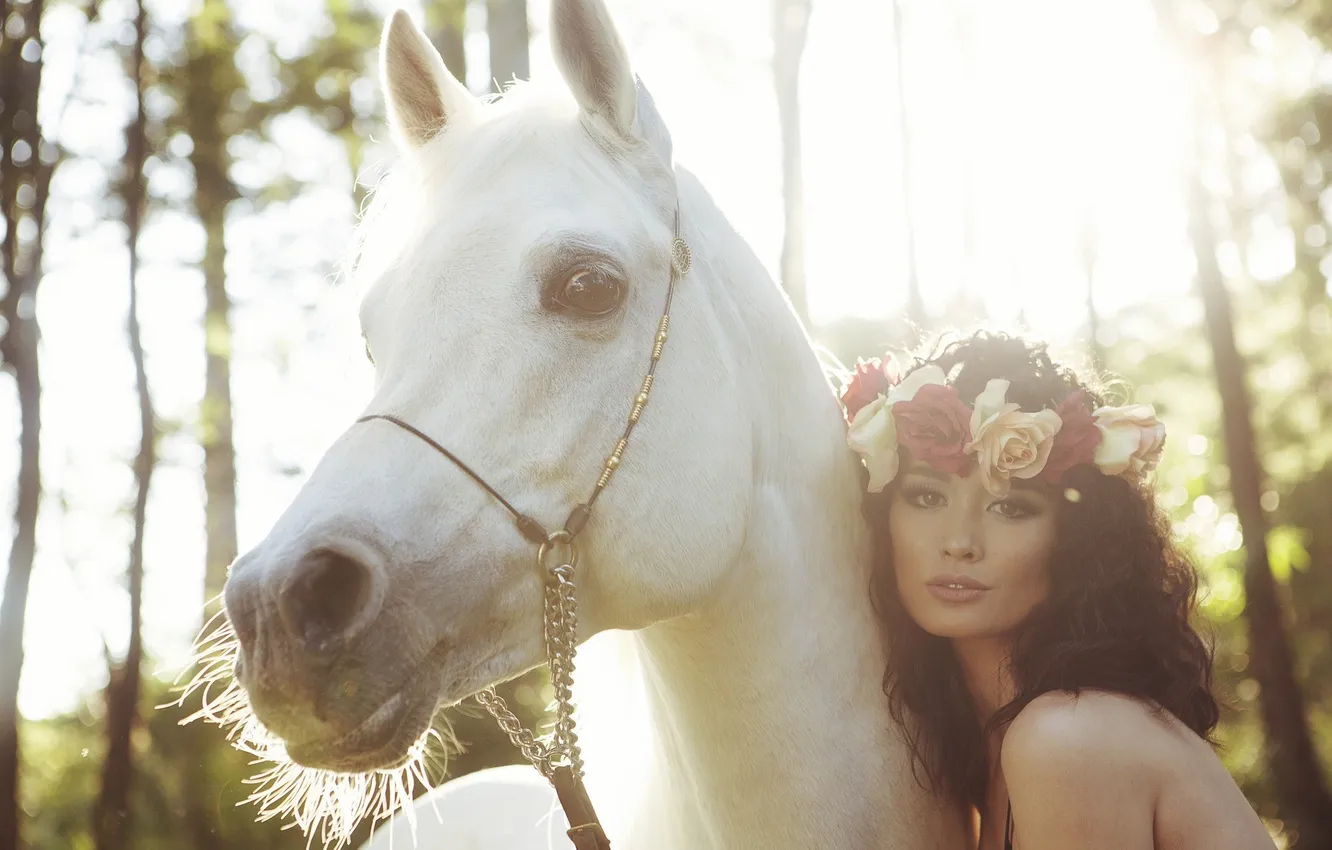 Photo wallpaper horse, horse, brunette, white