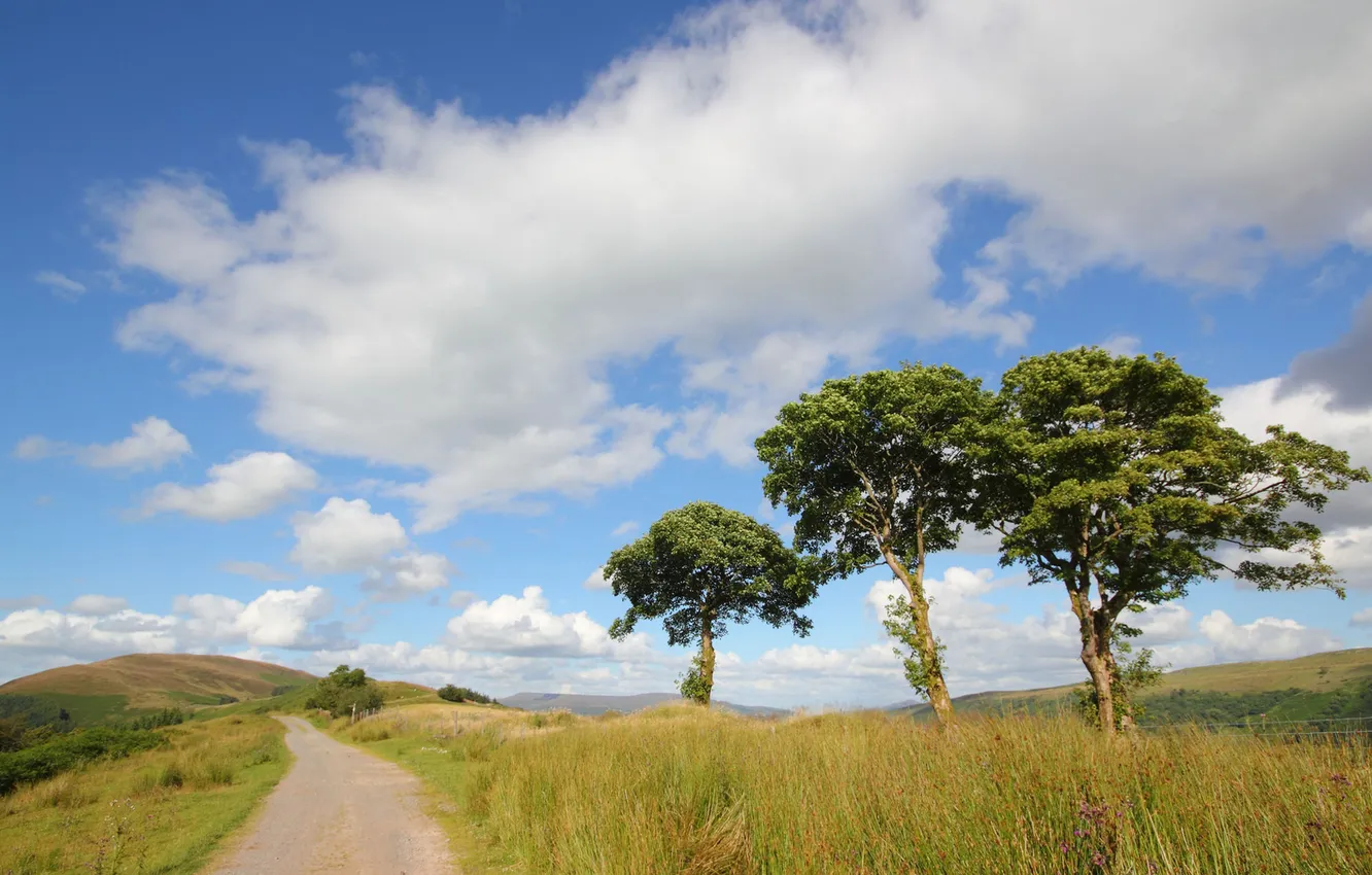 Photo wallpaper road, summer, the sky, grass, clouds, trees