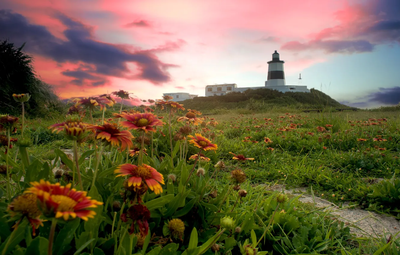 Photo wallpaper grass, clouds, sunset, flowers, lighthouse
