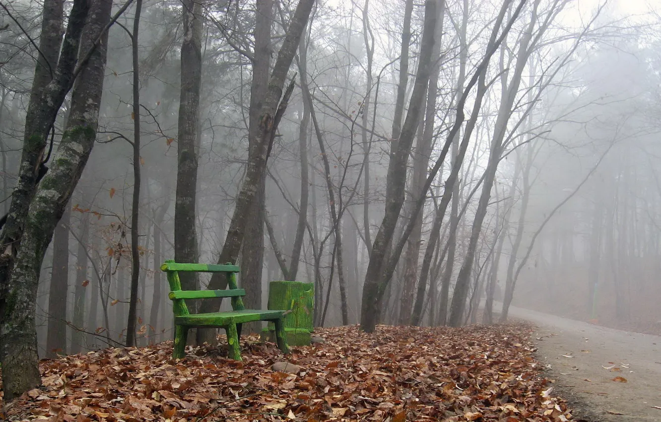 Photo wallpaper road, autumn, leaves, fog, bench