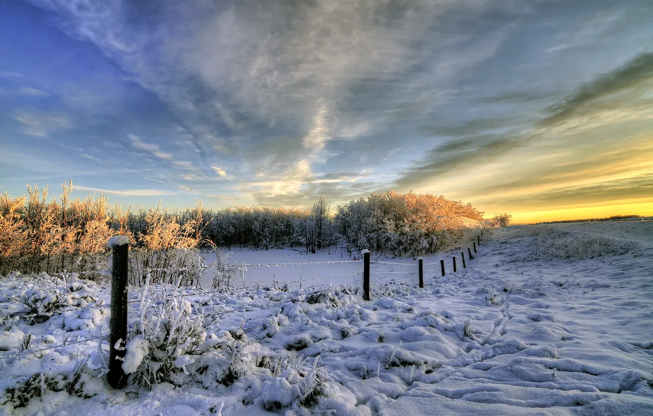 Photo wallpaper winter, field, snow