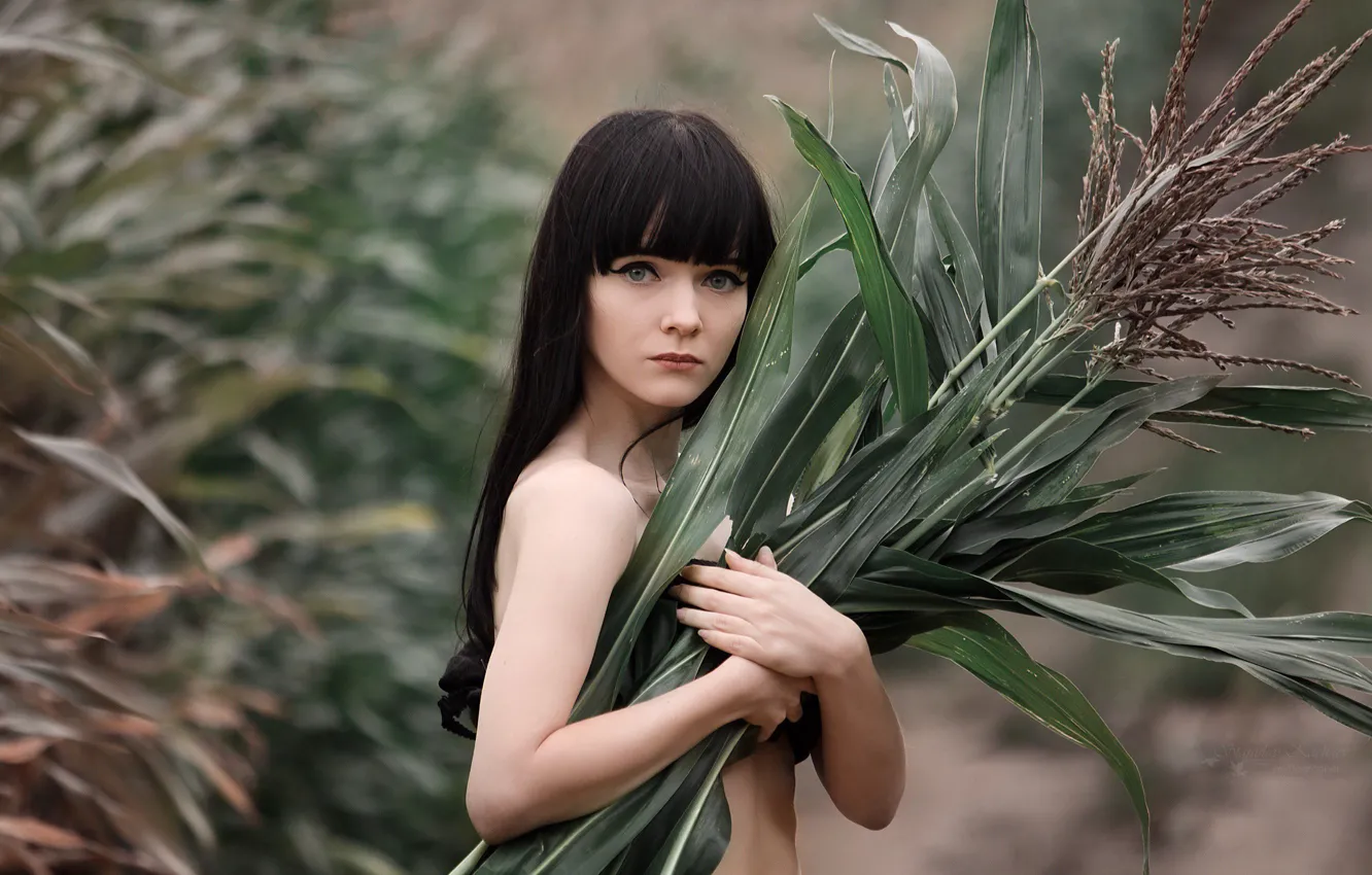 Photo wallpaper look, girl, sweetheart, portrait, corn, brunette, light, the beauty