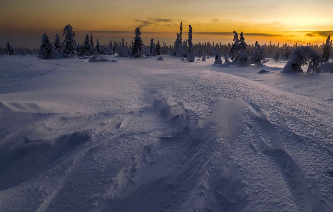 Photo wallpaper winter, field, snow, night
