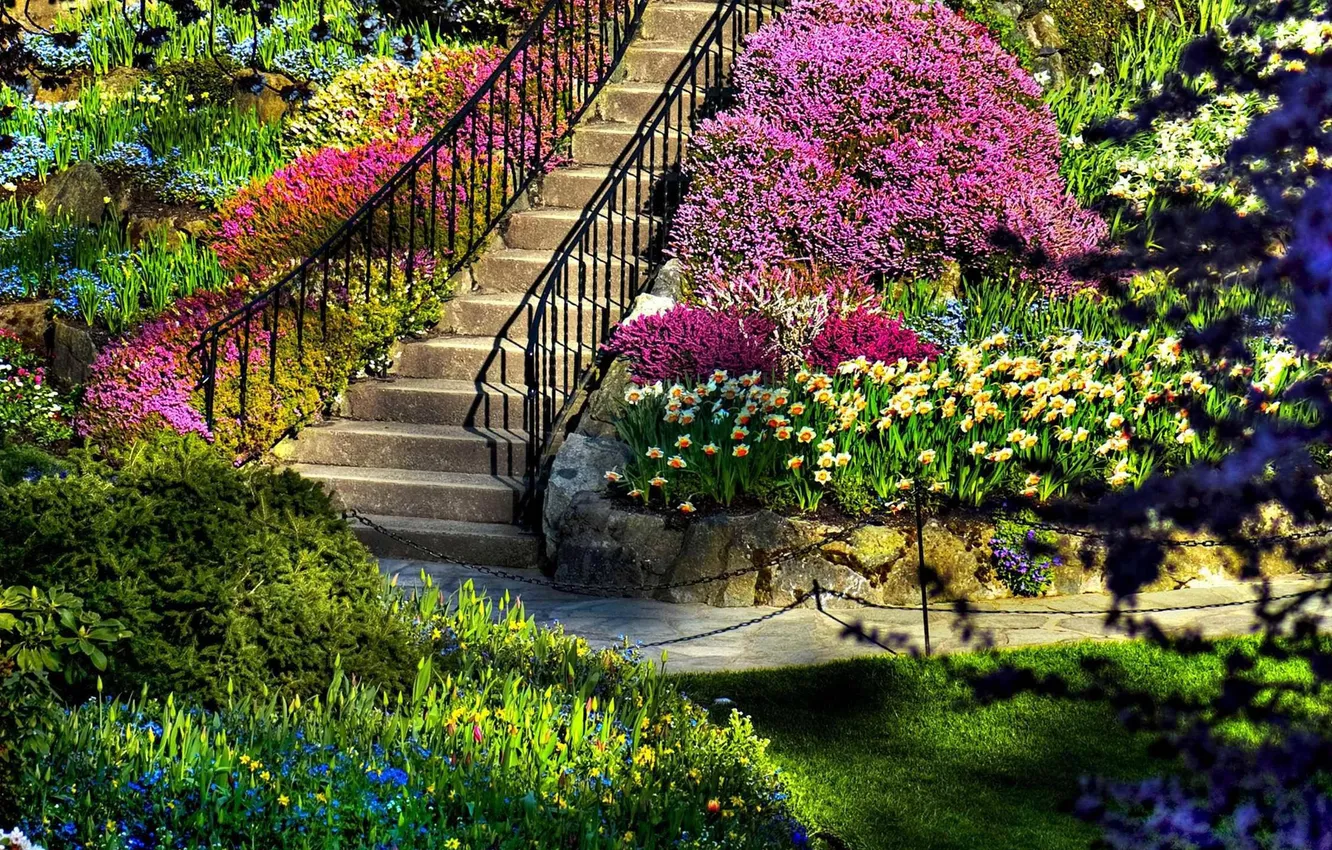 Photo wallpaper grass, trees, flowers, nature, Park, plant, garden, ladder