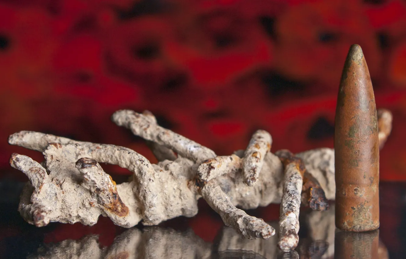 Photo wallpaper macro, bullets, barbed wire, echoes of war