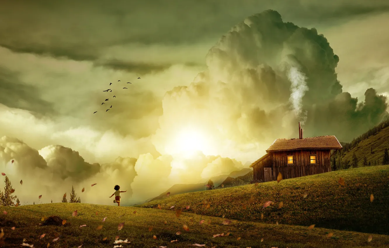 Photo wallpaper field, autumn, forest, the sky, grass, dream, leaves, clouds