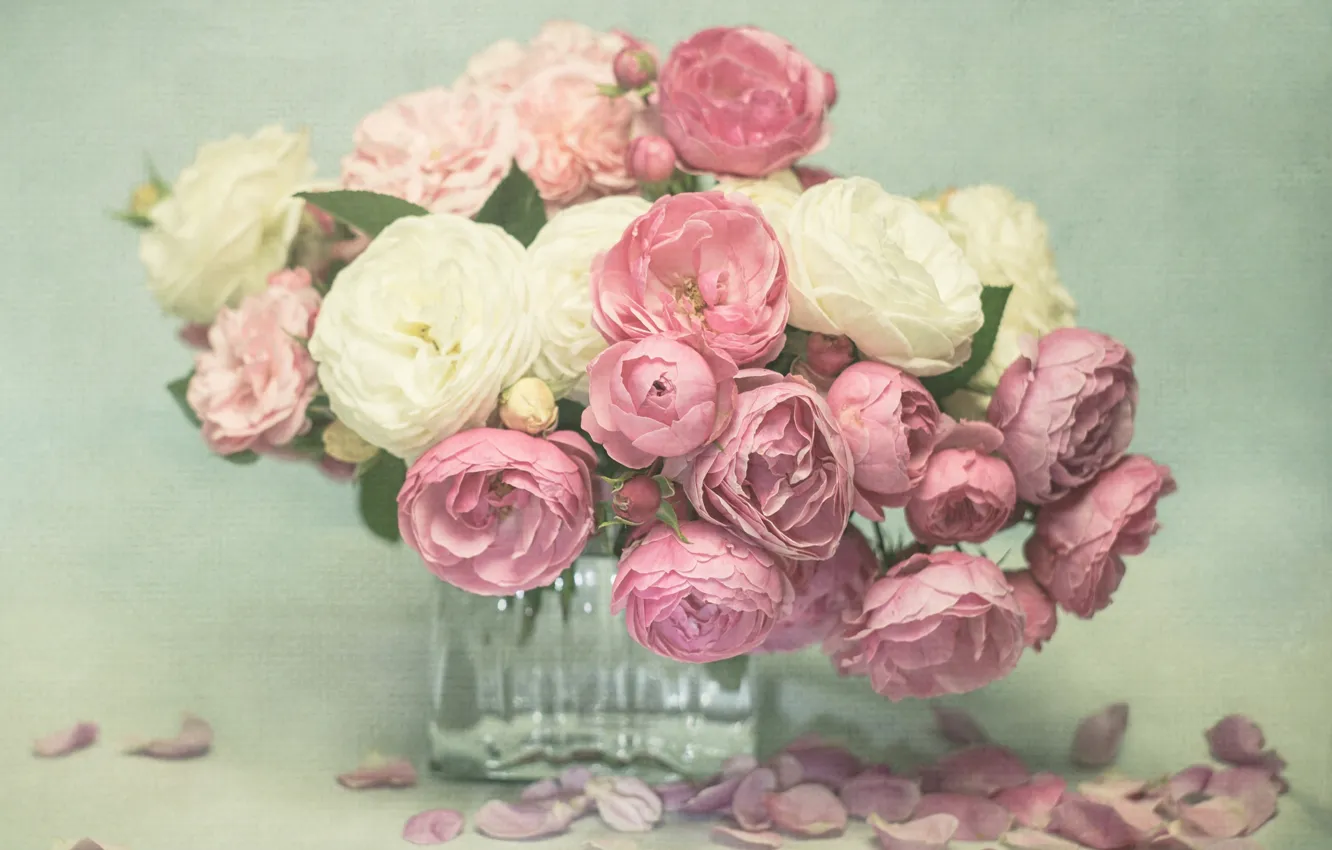 Photo wallpaper flowers, roses, petals, vase, pink, white, buds, flower