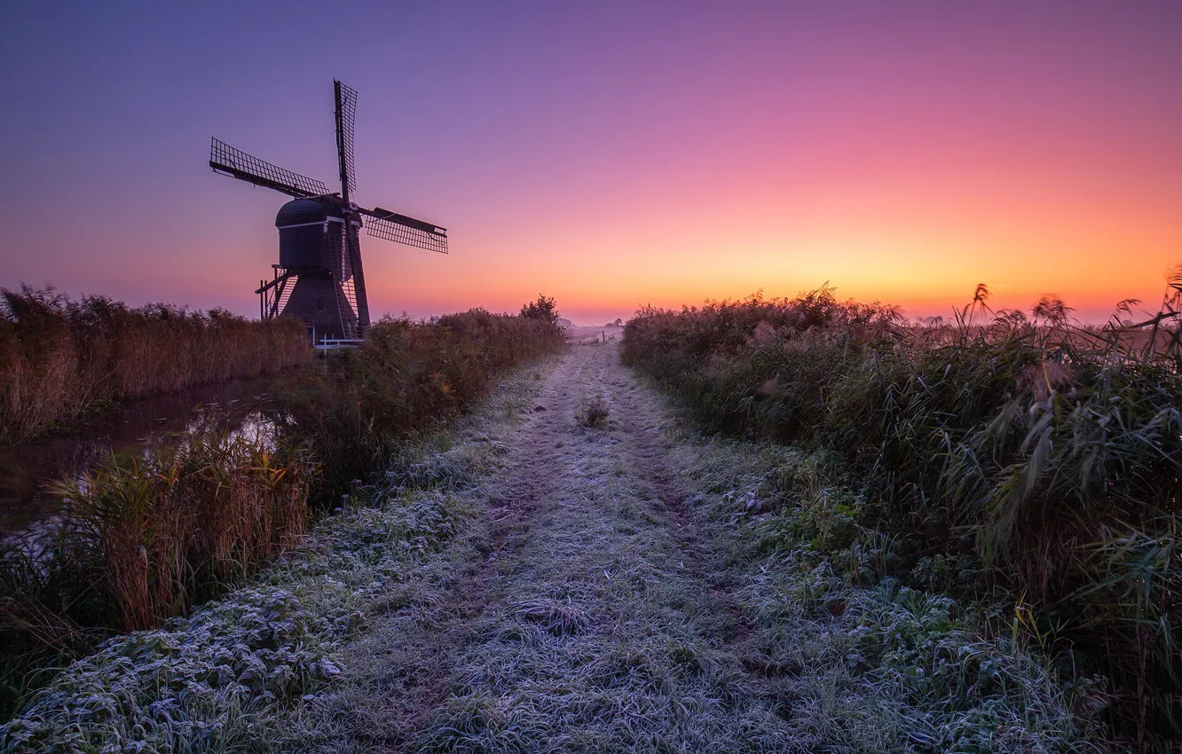 Photo wallpaper South Holland, mill, Streefkerk, sunset