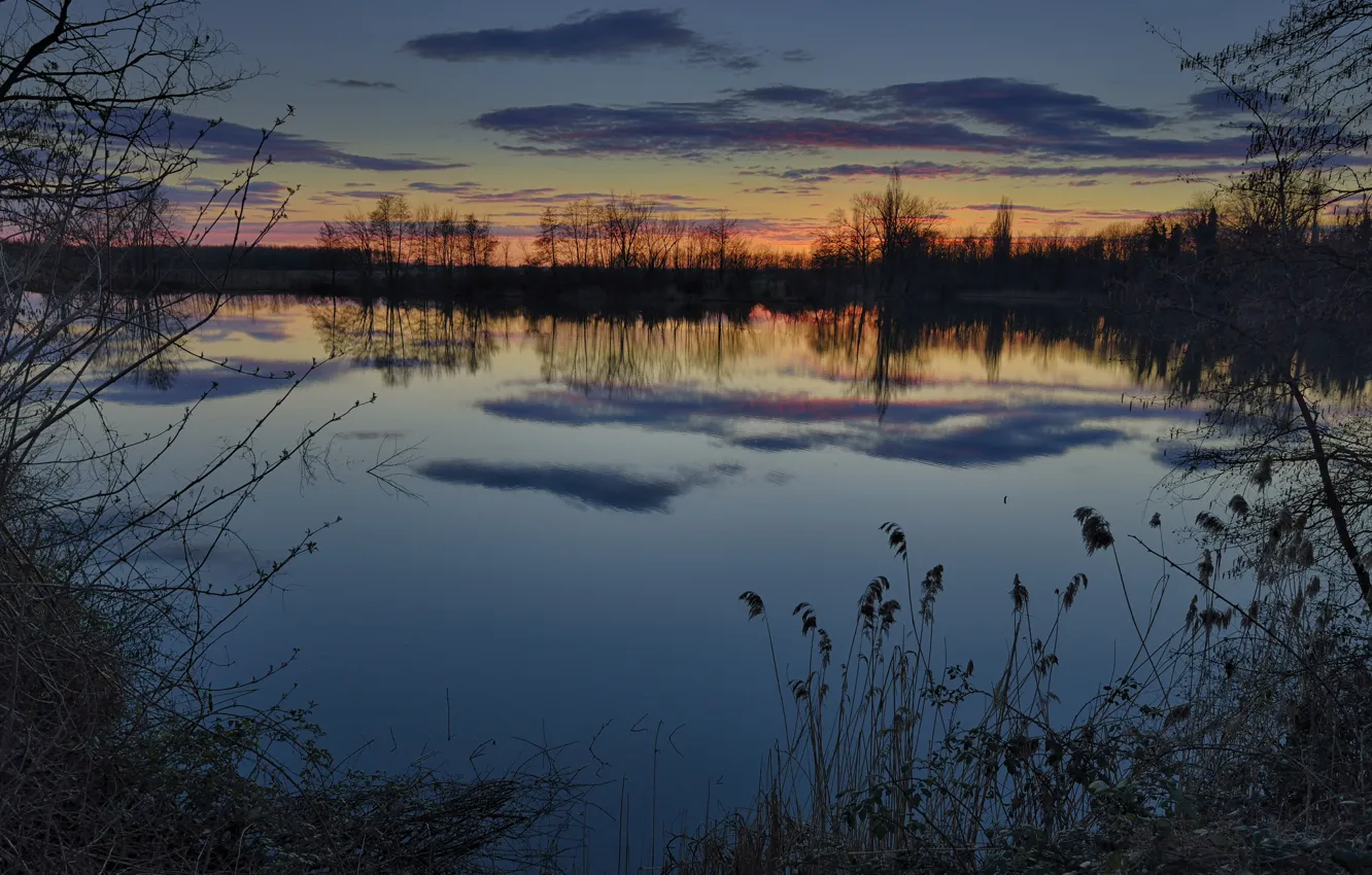 Photo wallpaper winter, the sky, grass, water, clouds, trees, sunset, reflection