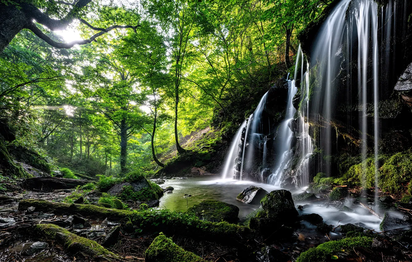 Photo wallpaper forest, stones, rocks, waterfall