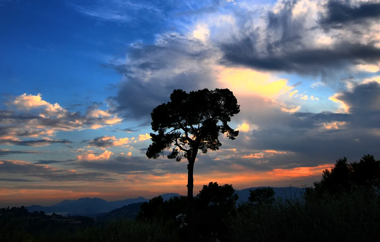 Photo wallpaper the sky, clouds, mountains, tree, Sunset