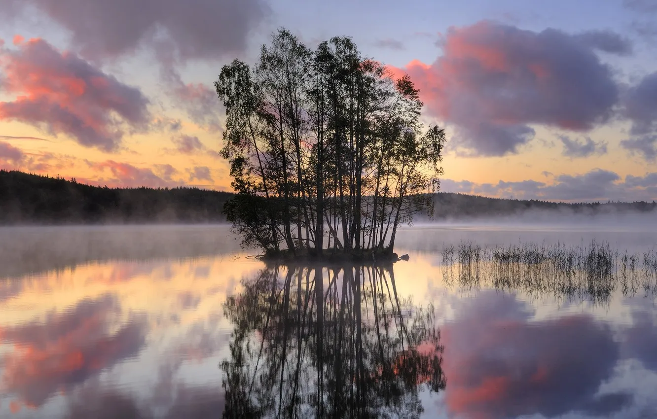 Photo wallpaper trees, nature, lake, Wallpaper