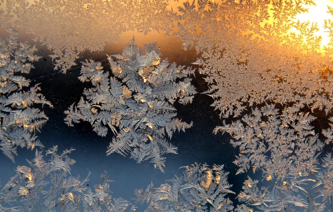 Photo wallpaper winter, frost, the sun, macro, sunset, frost, frost, Patterns on the window