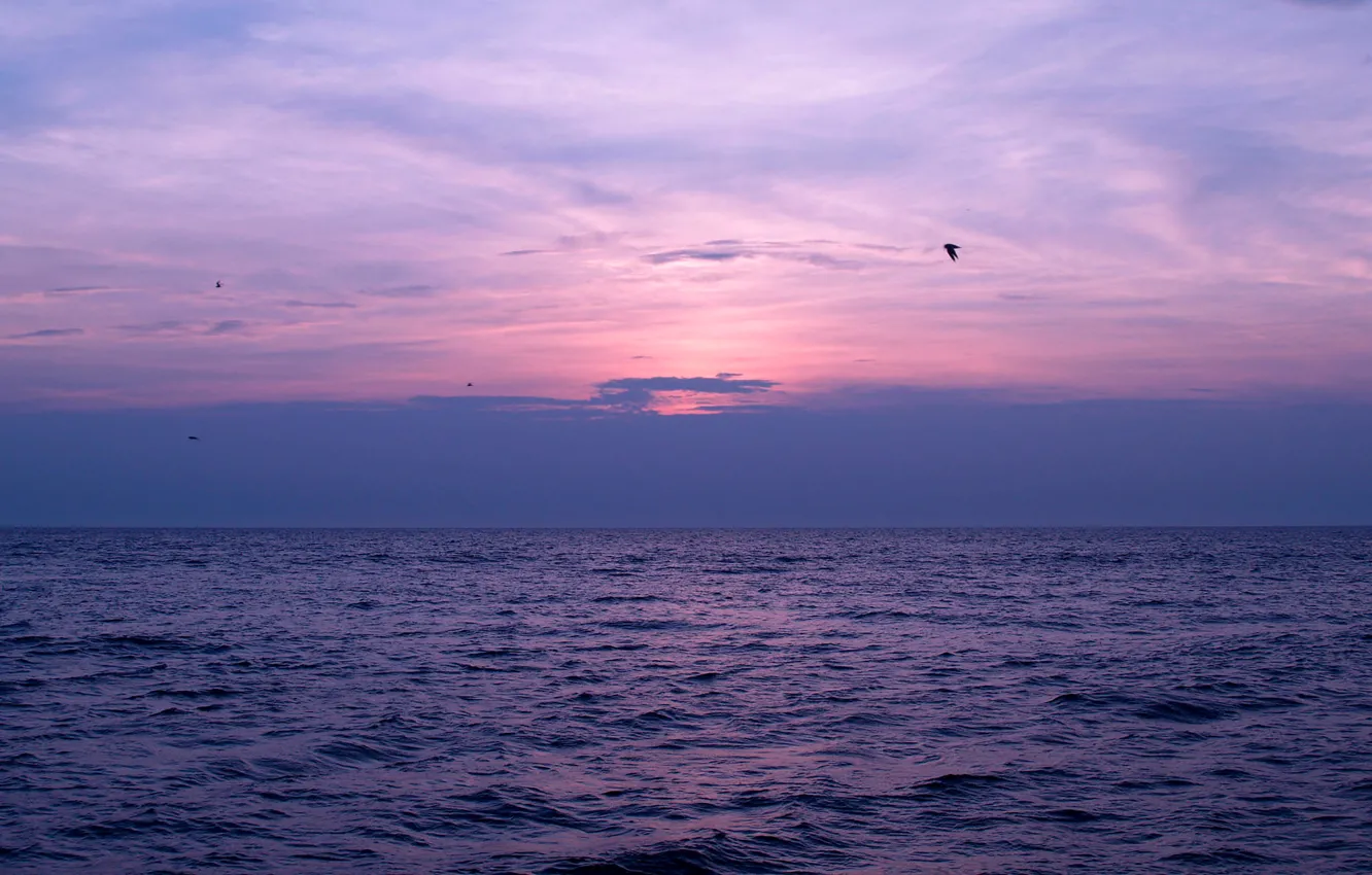 Photo wallpaper sea, the sky, clouds, sunset, birds
