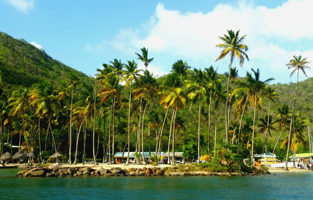 Photo wallpaper palm trees, the ocean, resort, Caribbean, St.Lucia