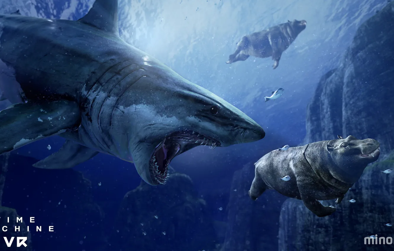 Photo wallpaper fish, shark, Hippo, Time Machine VR