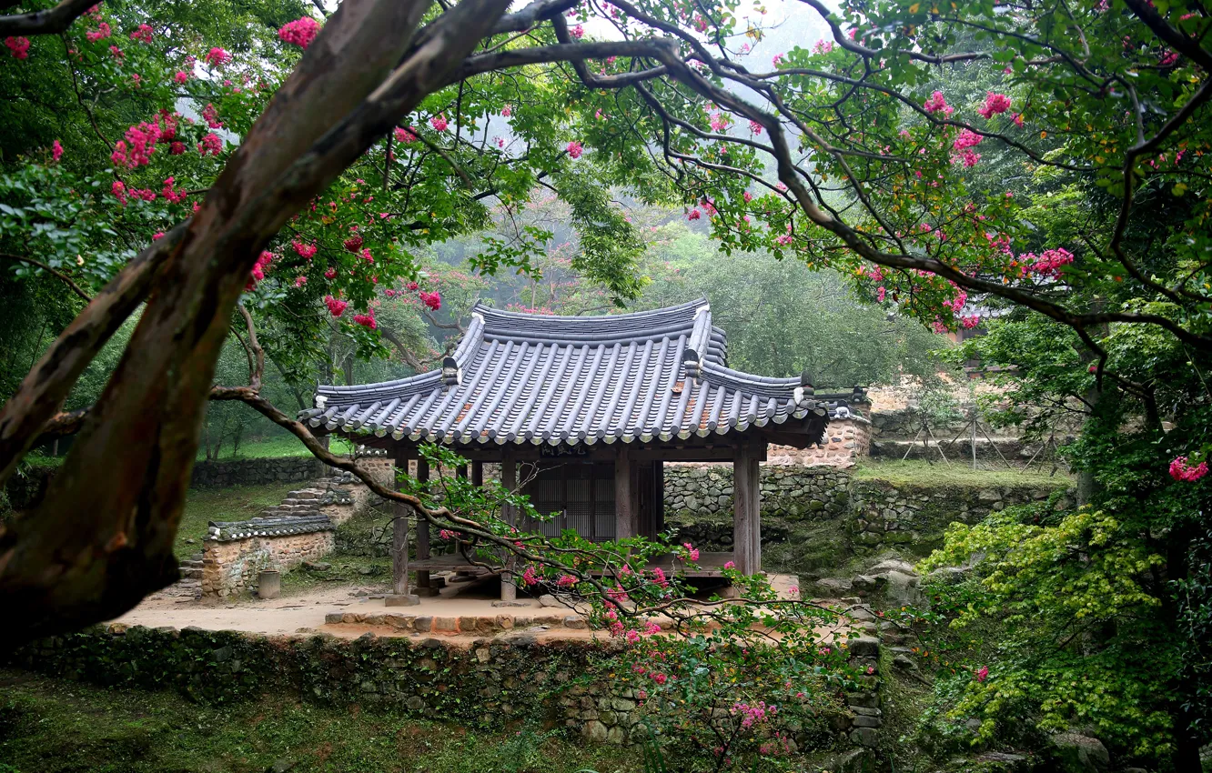 Photo wallpaper summer, trees, flowers, branches, Park, stones, thickets, foliage