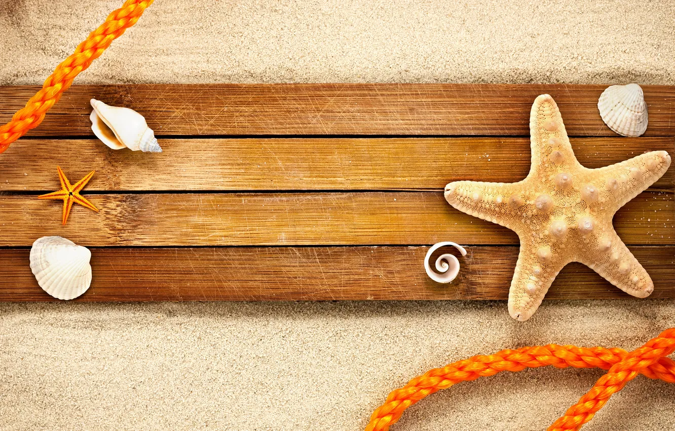 Photo wallpaper sand, shell, starfish, rope