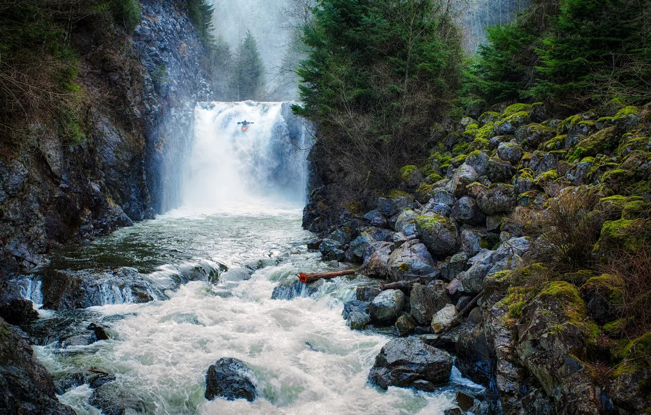 Photo wallpaper forest, trees, river, rocks, waterfall, stream, kayak