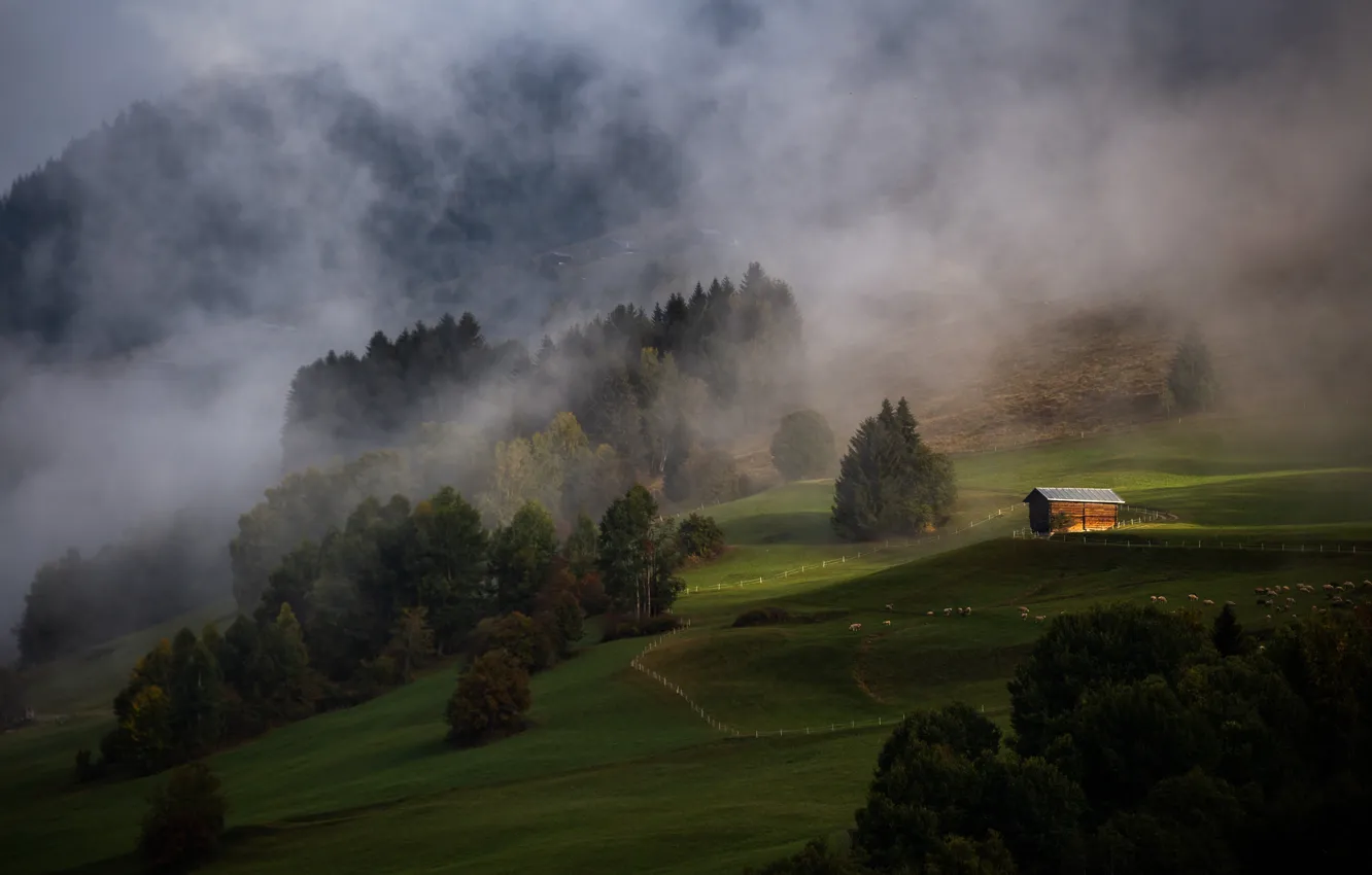 Photo wallpaper forest, mountains, fog, slope, Alps, house