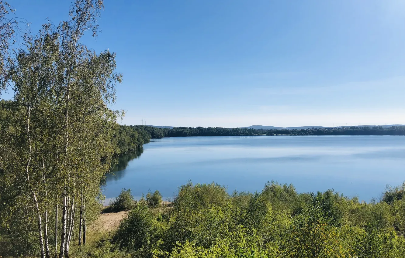 Photo wallpaper the sky, forest, lake, reserve, beauty, Sunny