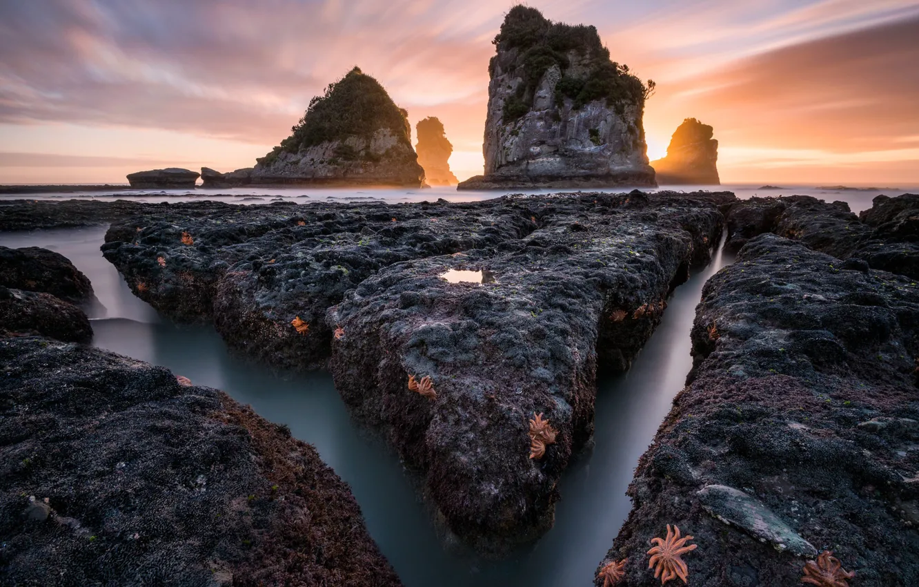 Photo wallpaper sea, nature, the ocean, rocks, excerpt, starfish