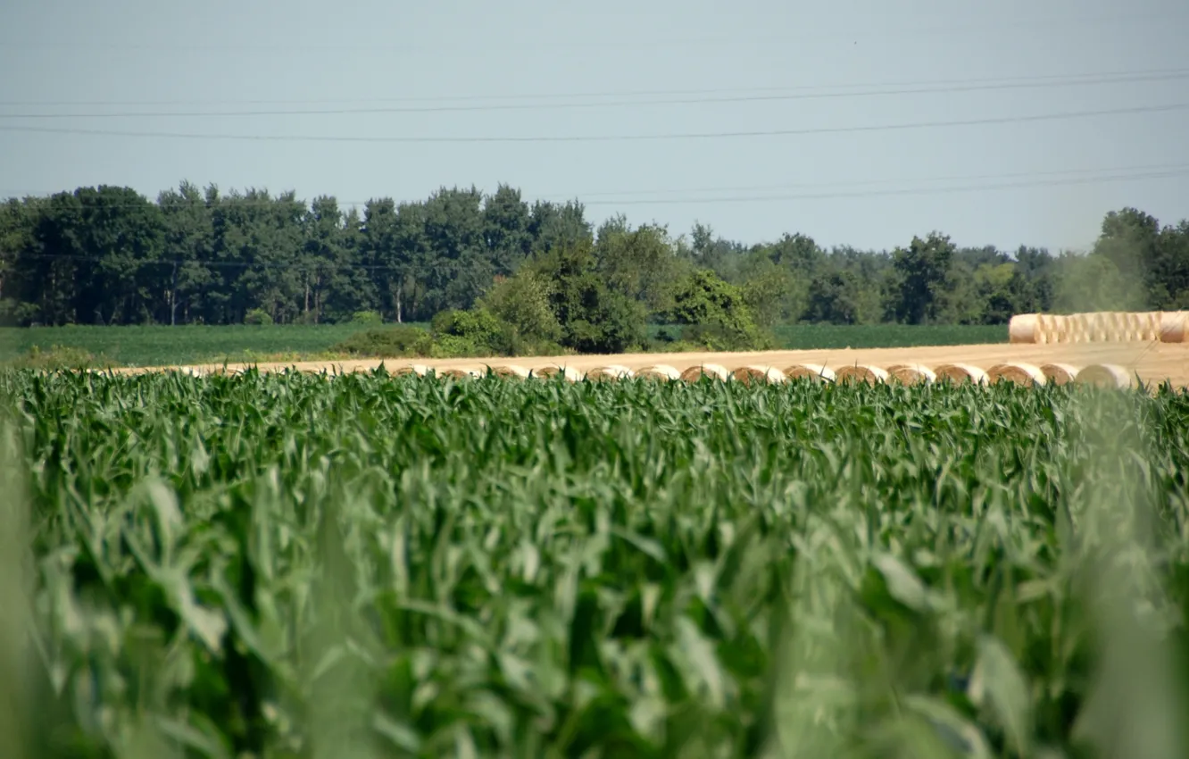 Photo wallpaper sky, field, Rural Racine, Nick Ash Weitzer