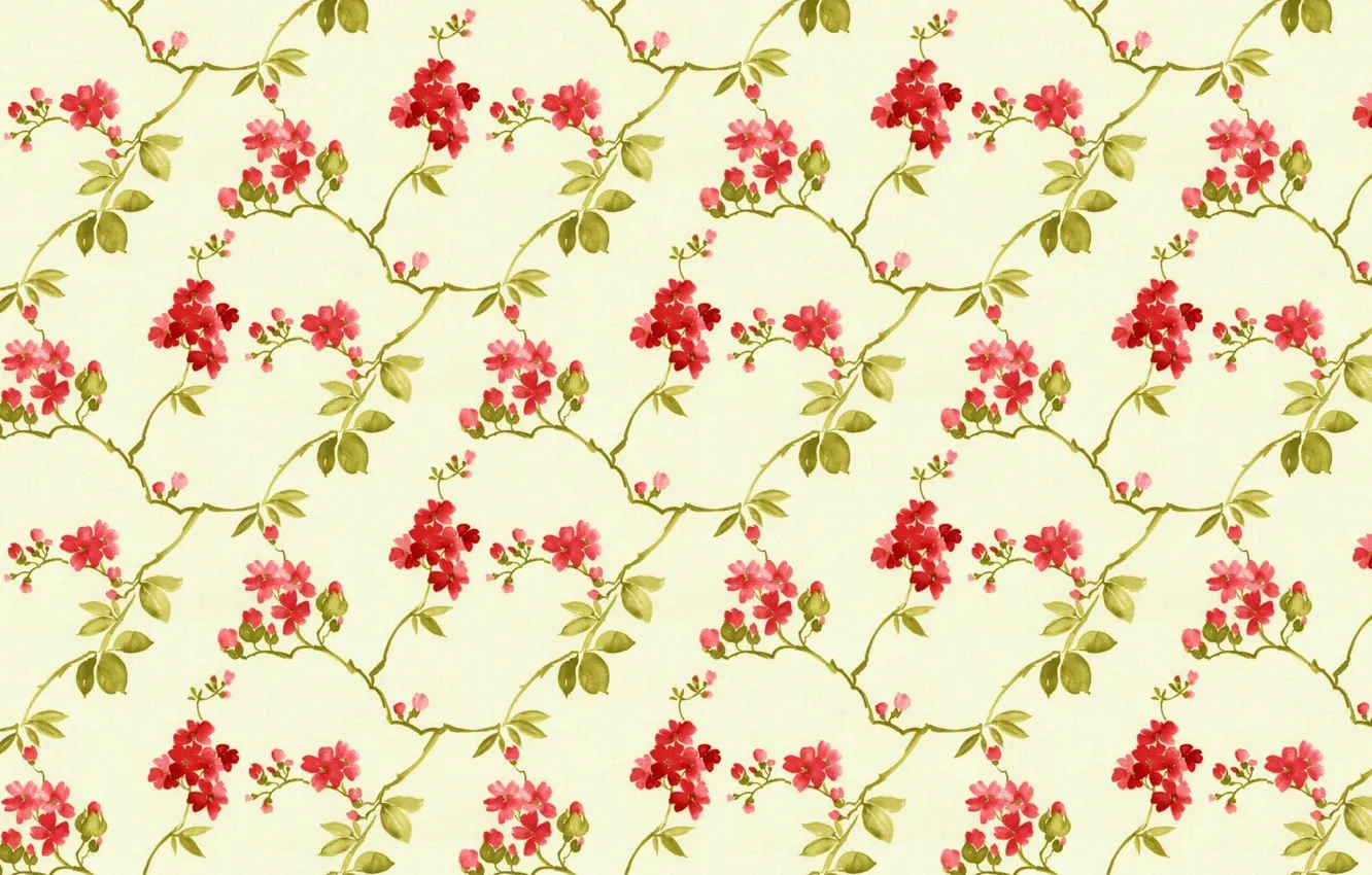 Photo wallpaper pattern, pattern, pattern, floral, seamless, seamless