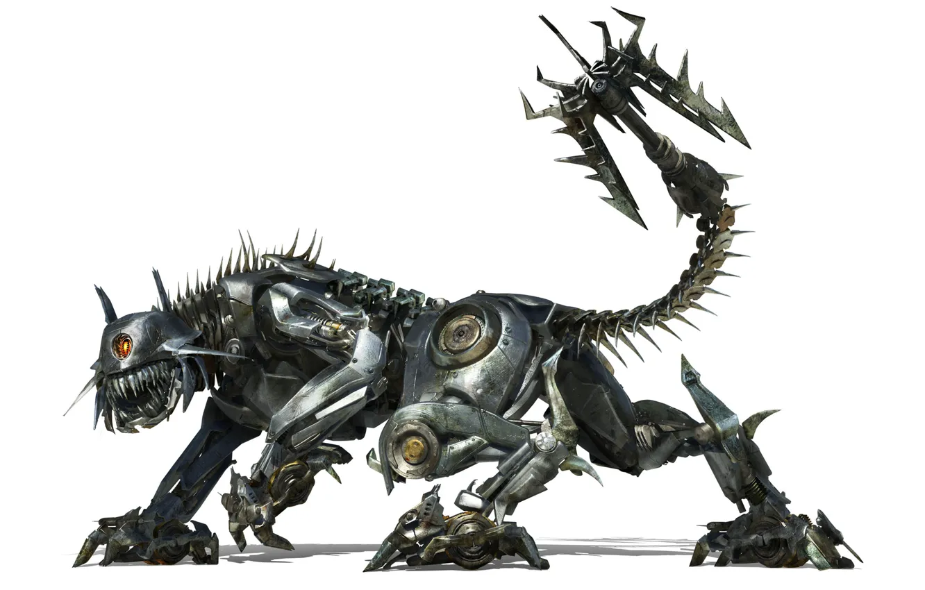 Photo wallpaper robot, Transformers, kitty