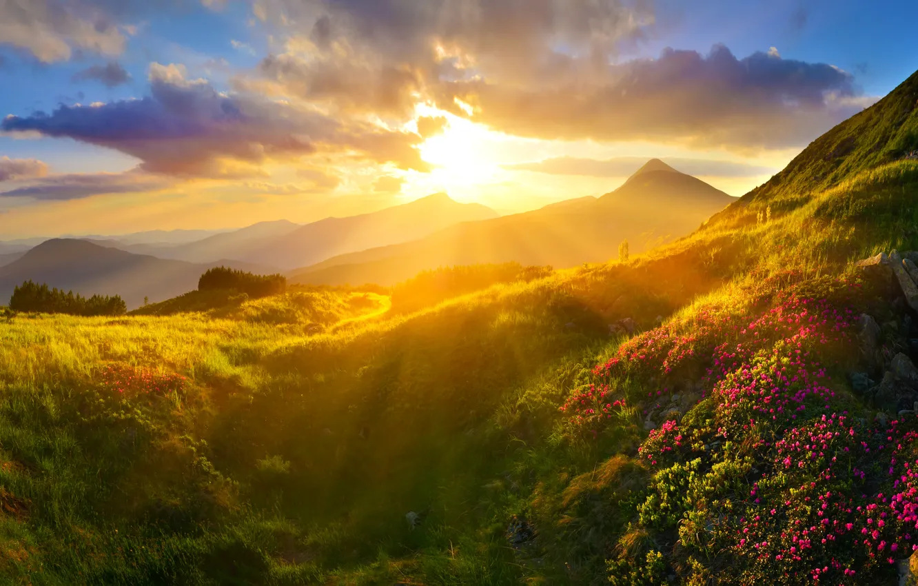 Photo wallpaper Sunset, Clouds, Mountains, Grass, Rays, Landscape