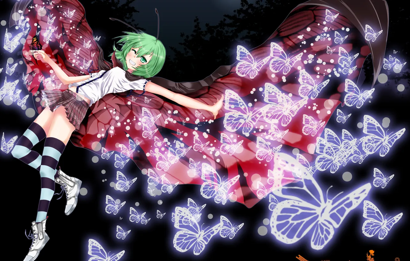 Photo wallpaper girl, butterfly, night, wings, a month, art, touhou, wriggle nightbug