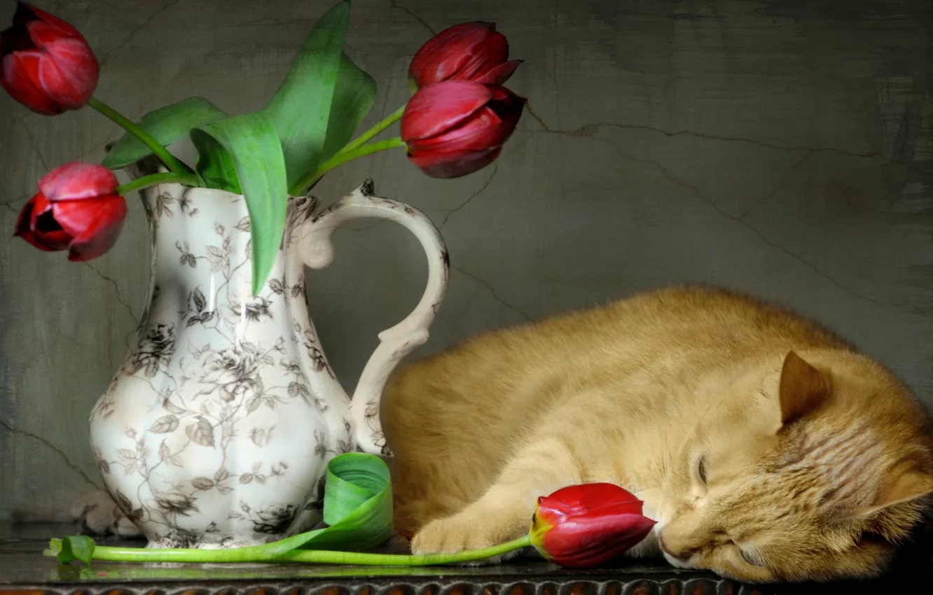 Photo wallpaper cat, style, tulips